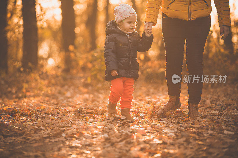 母女漫步在秋叶中