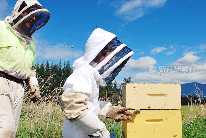 穿蜜蜂服的孩子帮助养蜂爸爸