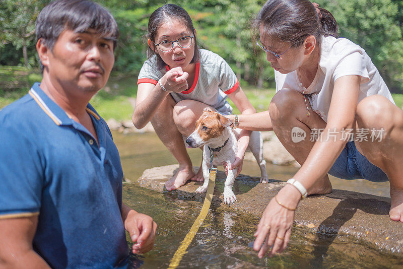 亚洲家庭玩好玩的杰克罗素梗狗在瀑布在夏天的早晨