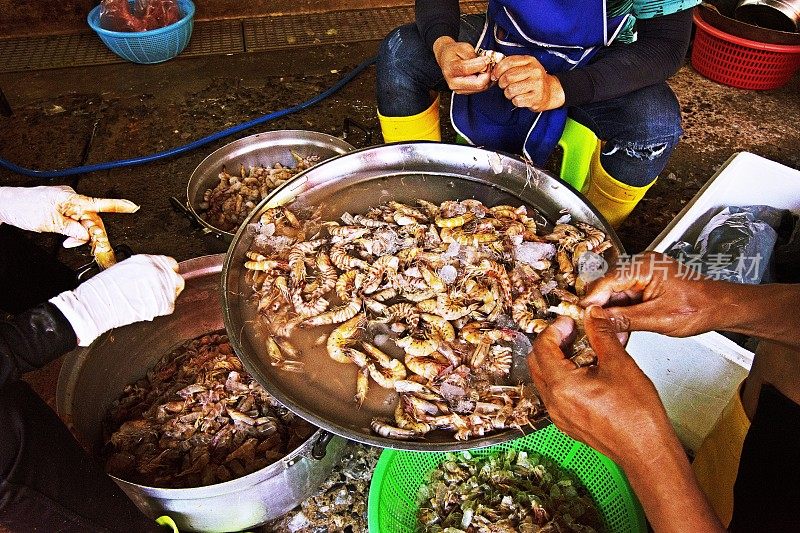 在曼谷鱼市剥虾的工人。