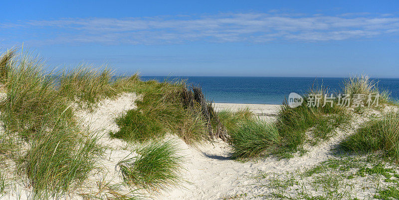 德国赫尔戈兰沙丘岛海岸，阳光明媚，天空晴朗，沙丘上有马兰草