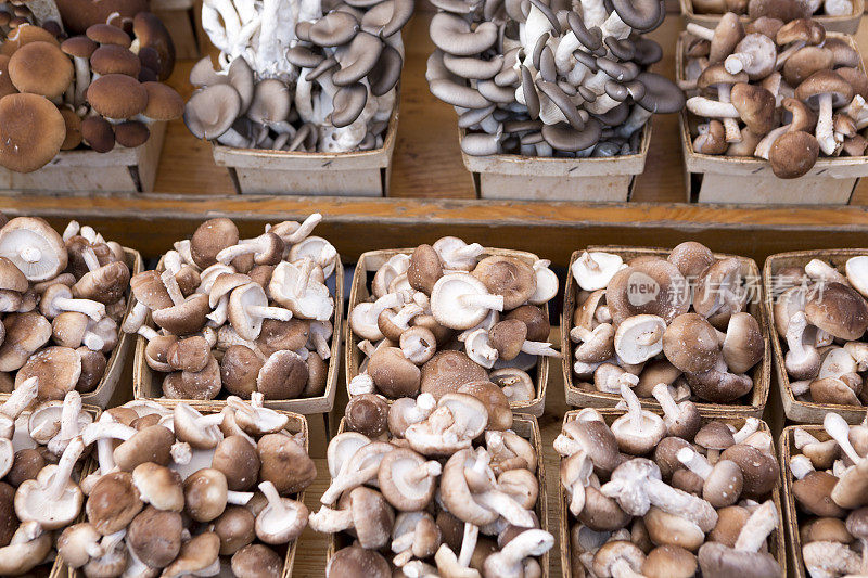 派克市场手工采摘的新鲜蘑菇