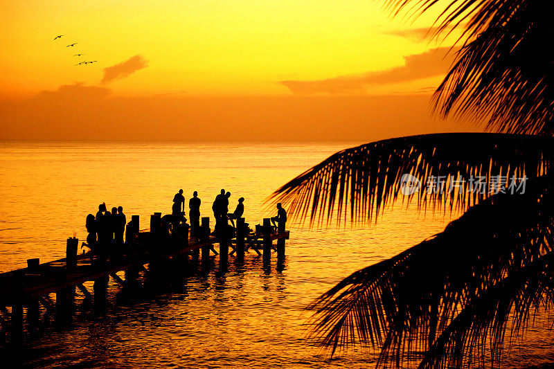 人们的剪影在夕阳下的沙滩上和棕榈树一起跳舞玩乐