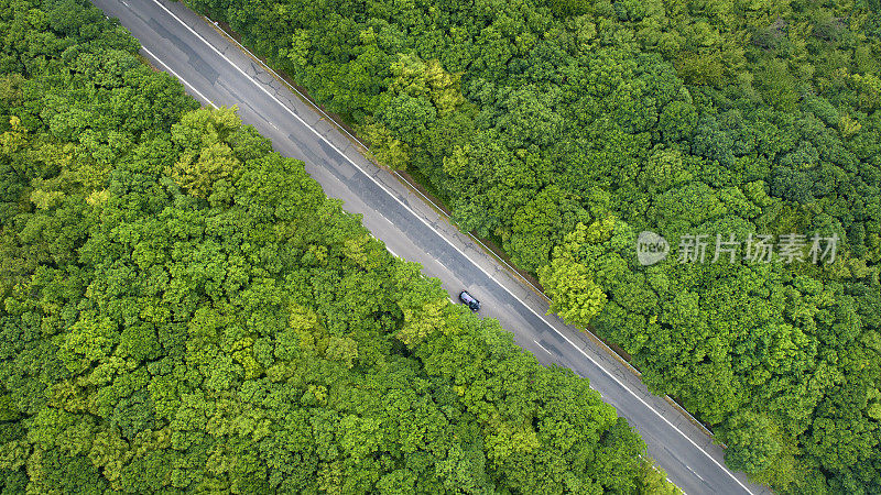 穿过森林的道路-鸟瞰图