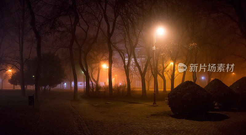 冬天的晚上在城市的公园里