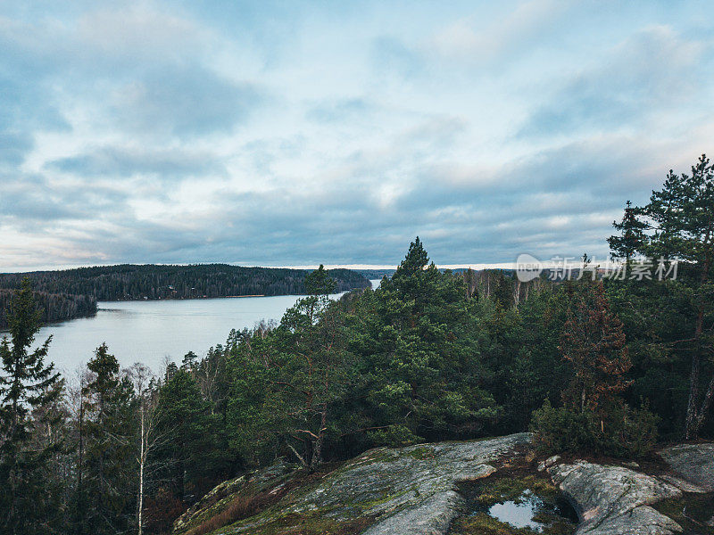 鸟瞰图的森林路径在芬兰国家公园