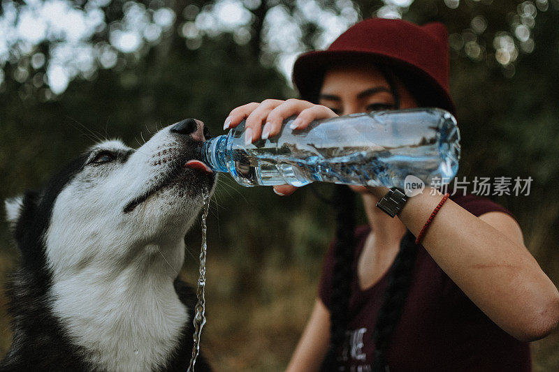 狗喝瓶子里的水