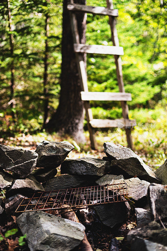 荒野梯子