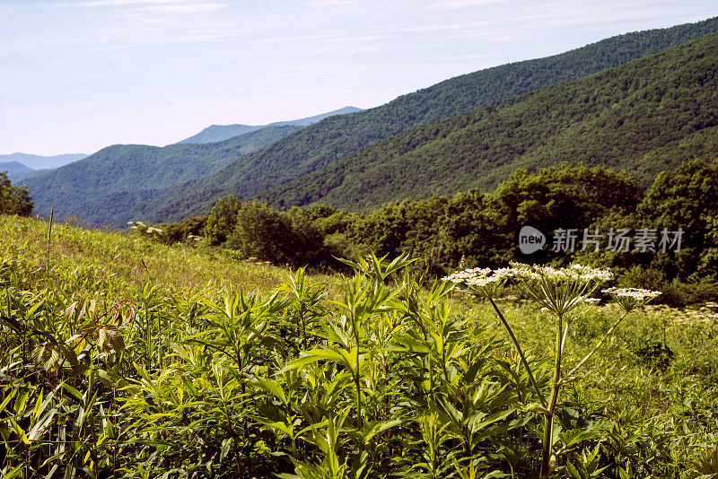 阿巴拉契亚山脉