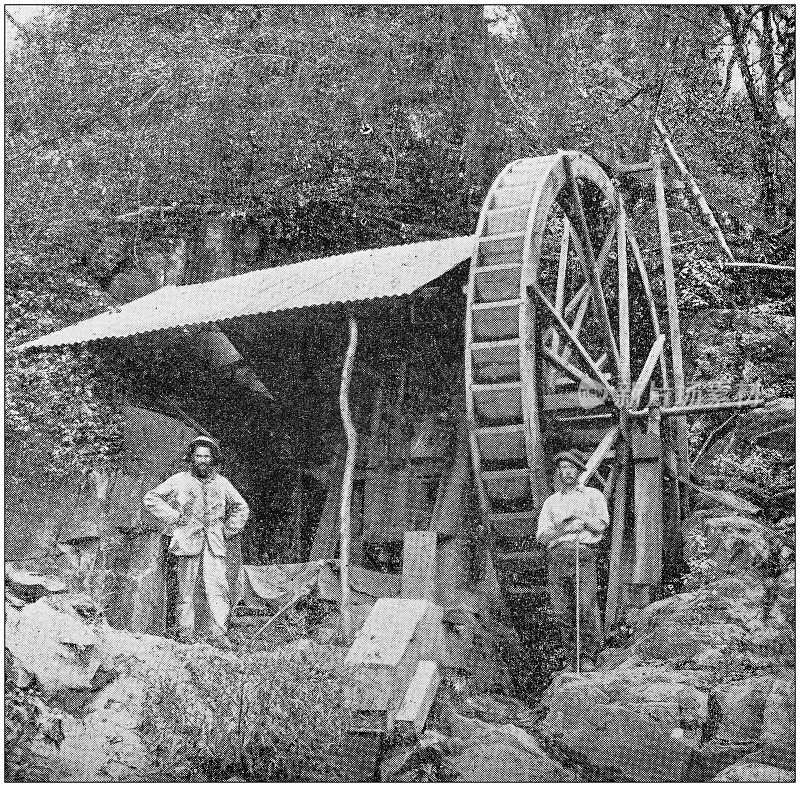 古董照片:南非的金矿开采行业