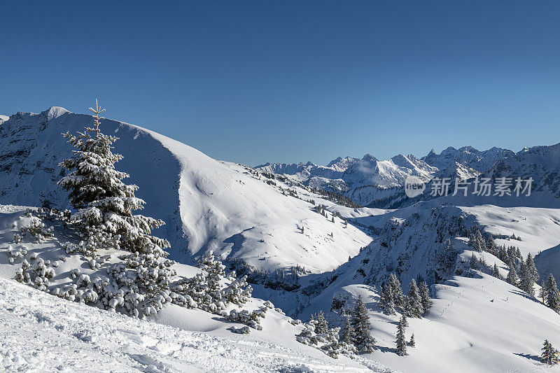 美丽的雪山景色