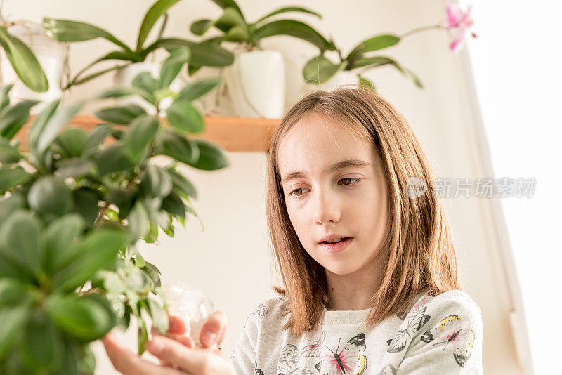 可爱的女孩照顾她的榕树盆景树