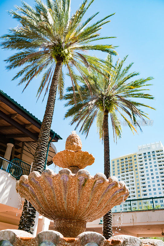 喷泉和棕榈树在佛罗里达州劳德代尔堡市中心的拉斯奥拉河步道