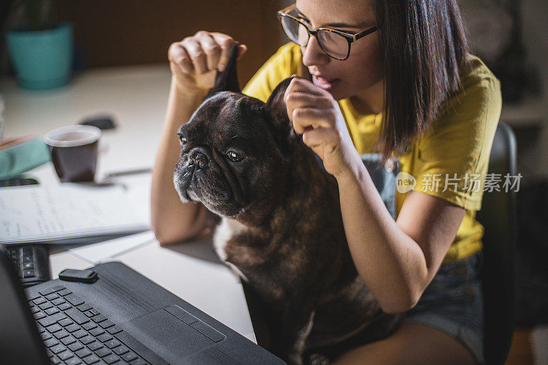 年轻女子在家学习