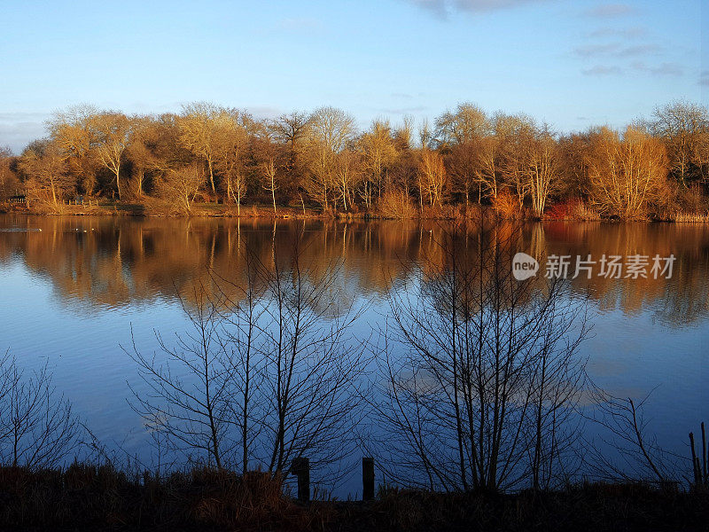 湖泊阳光水秋天秋天河岸边风景优美