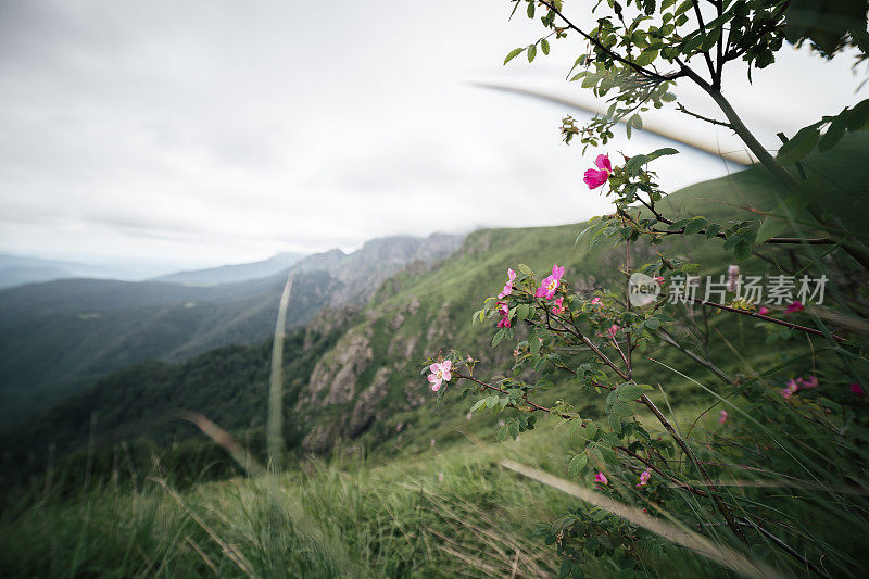 POV，回归自然。在山上远足，欣赏美丽的景色。2019冠状病毒病大流行后的夏日户外享受。