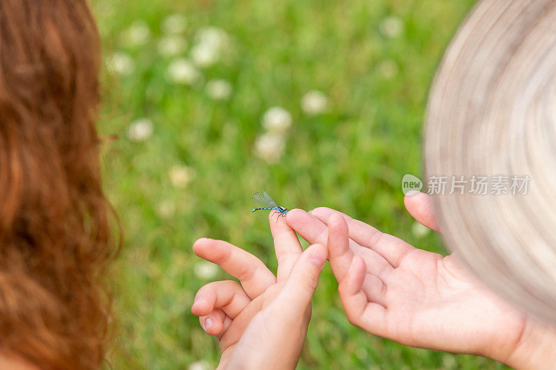 《有蓝蜻蜓的两个女孩