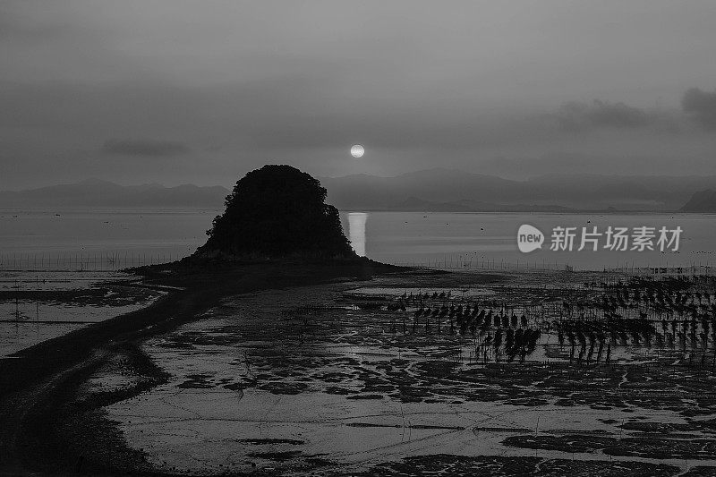 阳光普照在福建霞浦海岸的泥滩上