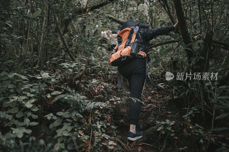 亚洲华人女性徒步旅行者探索苔藓森林在卡梅伦高地行走在后视镜