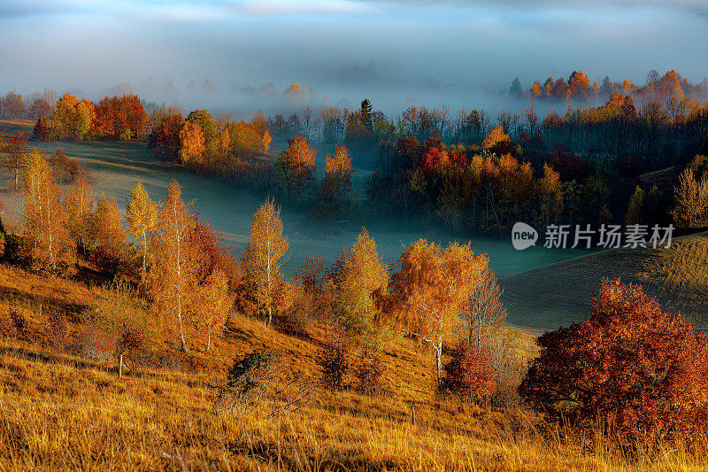 欧洲斯洛维尼亚的Primorska高原上的秋天