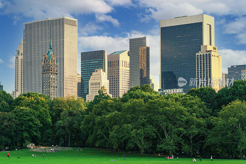 中央公园草坪，绿树和上城区高楼，曼哈顿，纽约。
