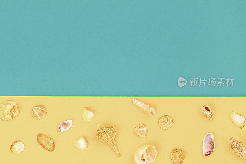 抽象的黄蓝色背景，热带海滩概念，沙滩和天空上的各种贝壳，仿空间，夏日异国度假