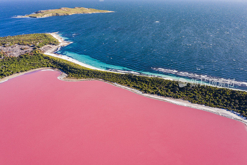 粉红色的湖鸟瞰图在中部岛屿包围蓝色海洋。对比鲜明的自然现象