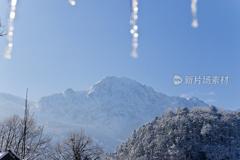 白雪覆盖了上巴伐利亚州的赫尔佐格斯坦德山