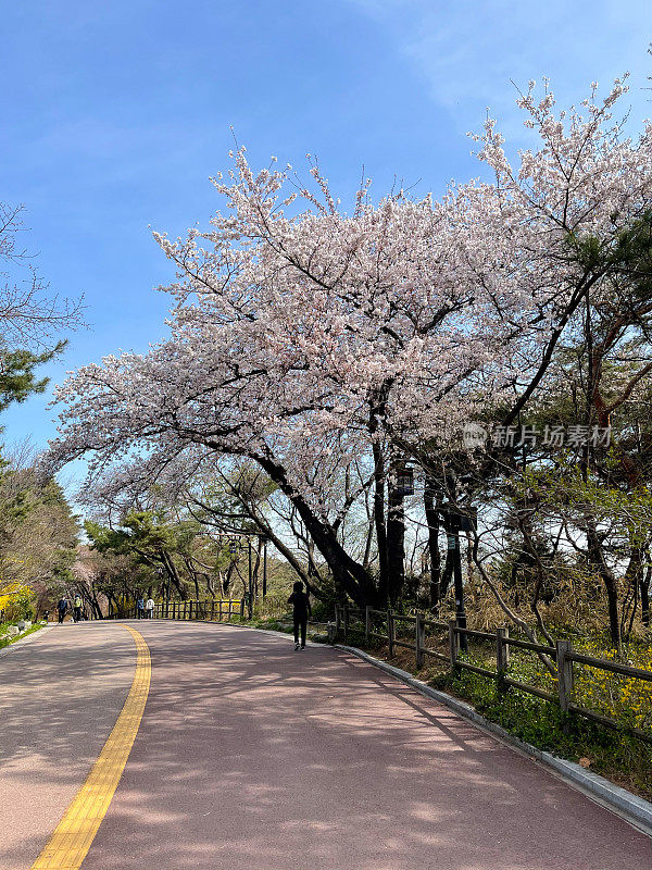 首尔南山环线