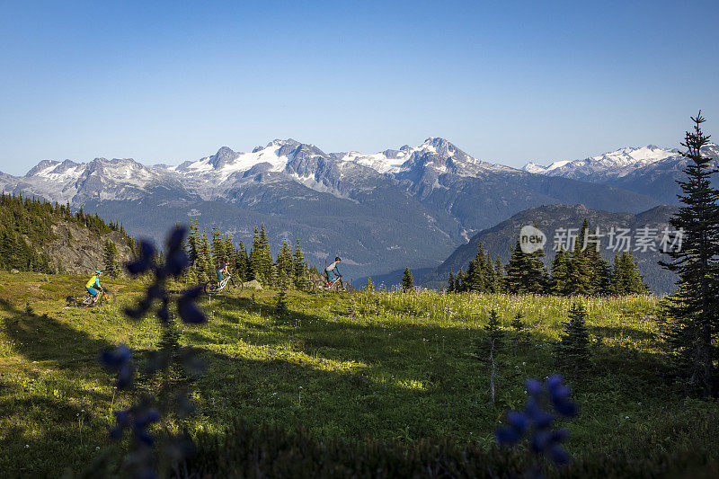 骑山地自行车，欣赏高山美景。