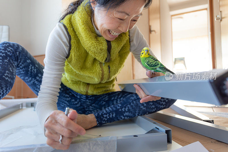 日本妇女在家办公与宠物