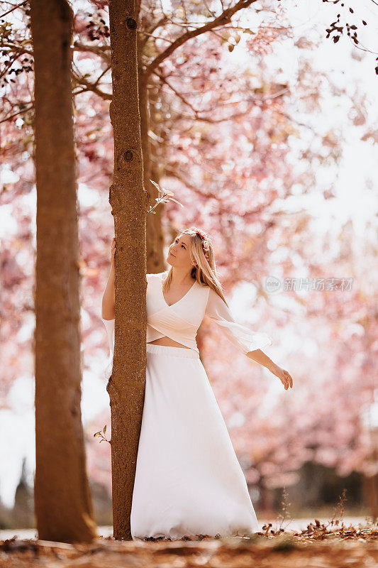 美丽的金发女人穿着白色的裙子，抚摸着一棵充满对自然的爱的树，享受着风吹过她的头发，站在春天的小树林和粉红色的盛开的树