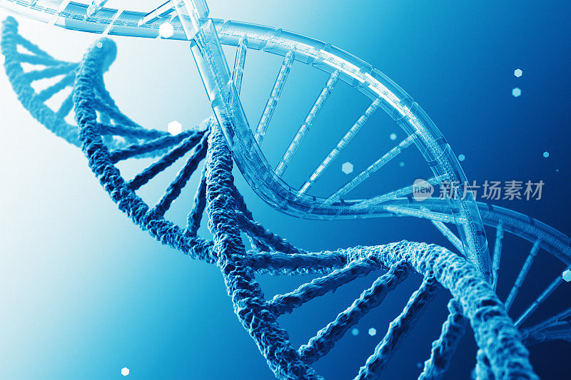 DNA数字生物技术