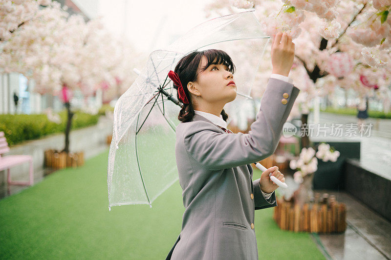 日本女学生在户外观赏樱花