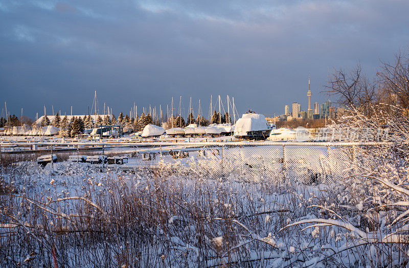 多伦多的天际线从汤米汤普森公园在冬天，加拿大