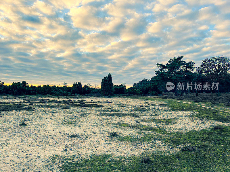 冬天，在寒冷的天气里，可以看到紧邻德国“林根”城市的石南荒原。