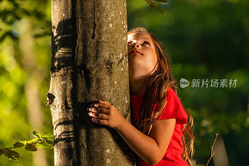 小女孩抱着树林里的一棵树往上看