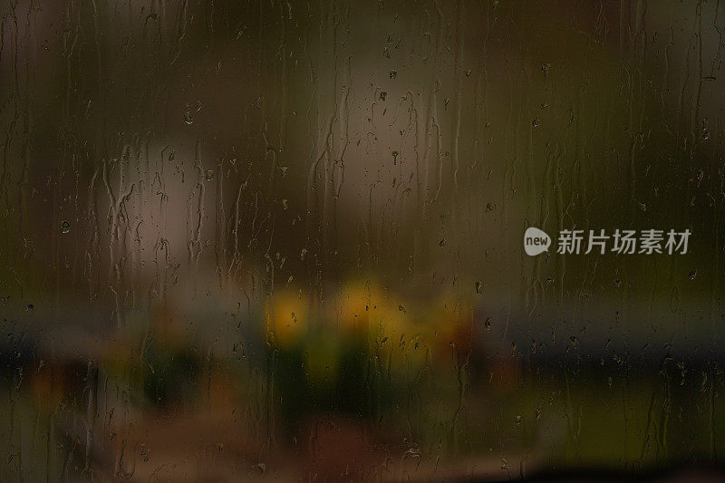 雨点打在背景是黄花的窗户上