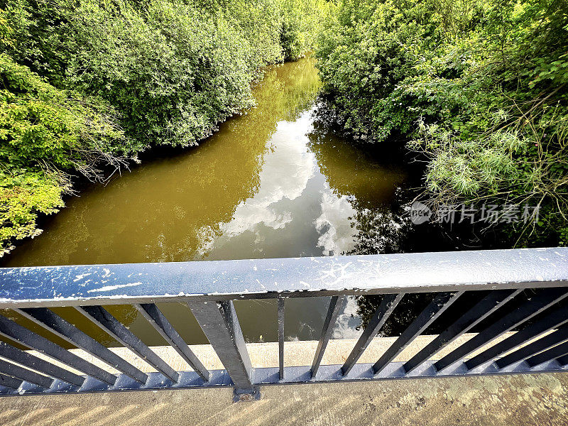 隔着栏杆可以看到一条小河，夏天河水浑浊，树木繁茂。