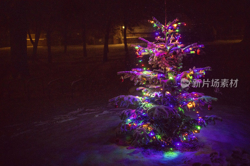 雪夜里圣诞树上的彩灯