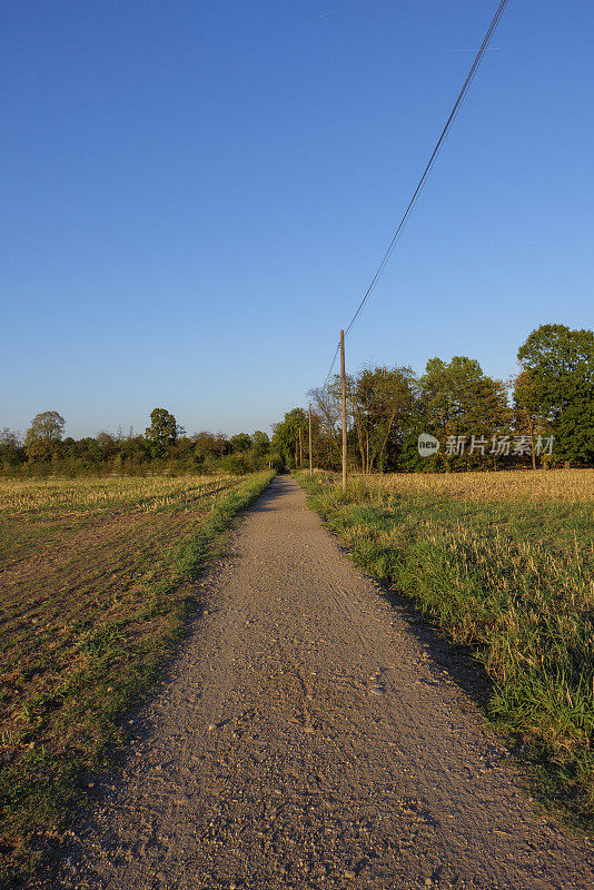 乡间小路