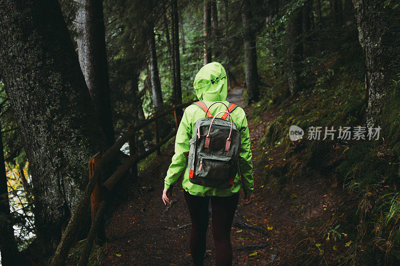 背着双肩包的女人在风景优美的森林里思考秋天的一天