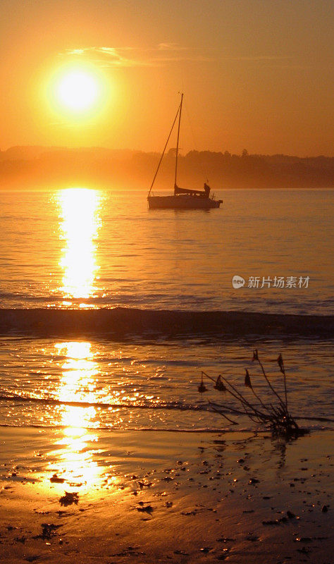 现代帆船，夏日夕阳下的海滩，加利西亚，西班牙。