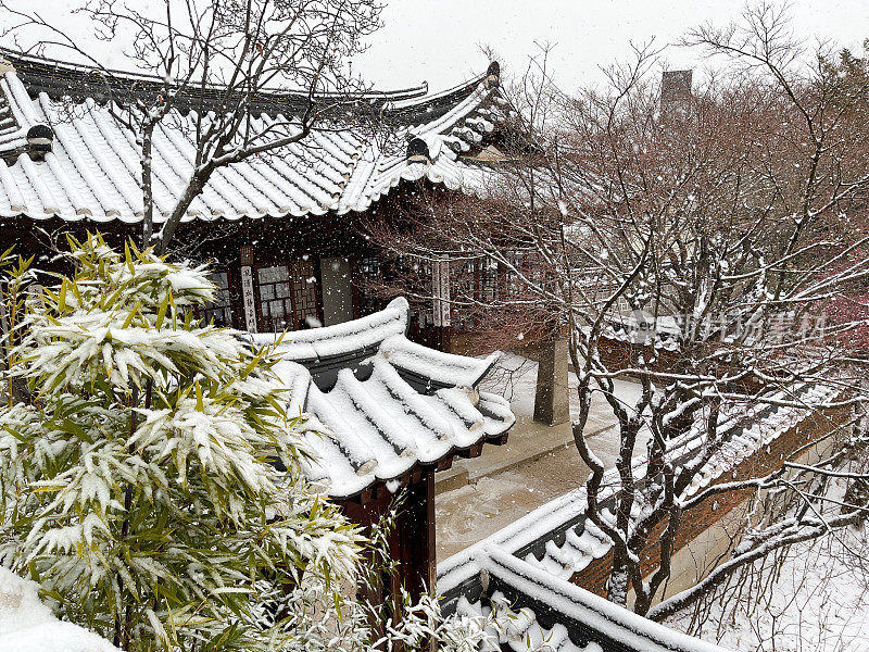 首尔的雪天