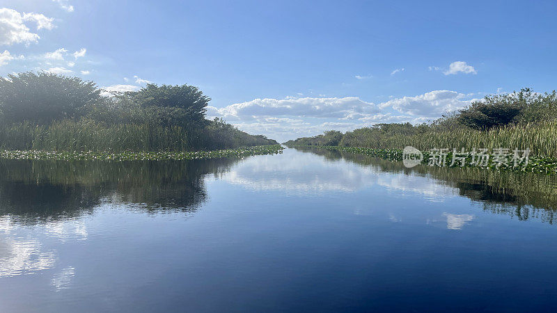 佛罗里达大沼泽地，天气晴朗