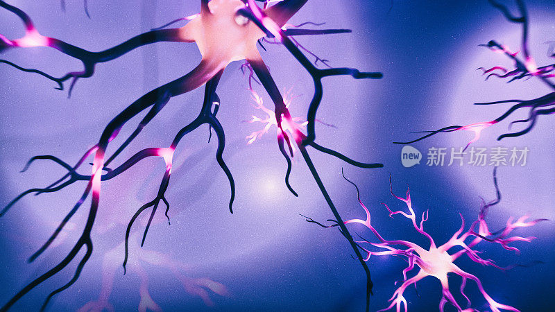 三维图像神经细胞