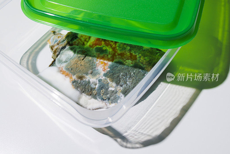 腐烂的三文鱼装在塑料容器里，上面长满了霉。
