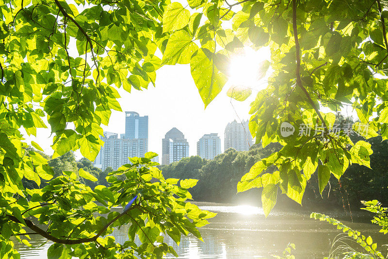 佐治亚州亚特兰大市中心夏季的阳光、树木和建筑物