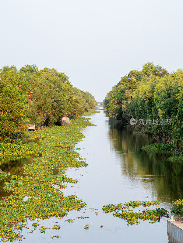 湄公河三角洲天江省宁静乡村河上的金色下午