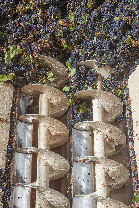 葡萄酒酿造过程中葡萄的消粉剂作用